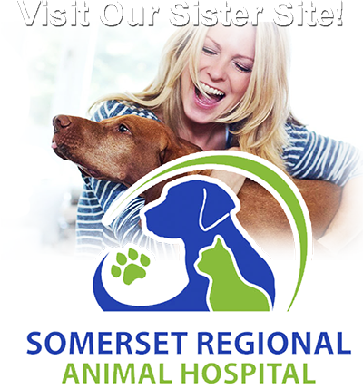 Visit our sister site, Somerset Regional Animal Hospital