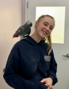 medical staff playing with bird after pet wellness exam