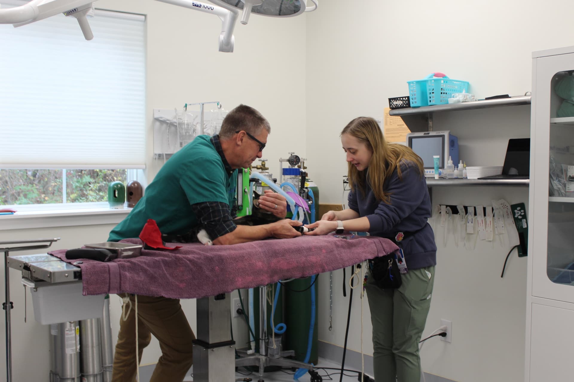 Dr. Rayne and Haley placing a catheter prior to pet general surgery.